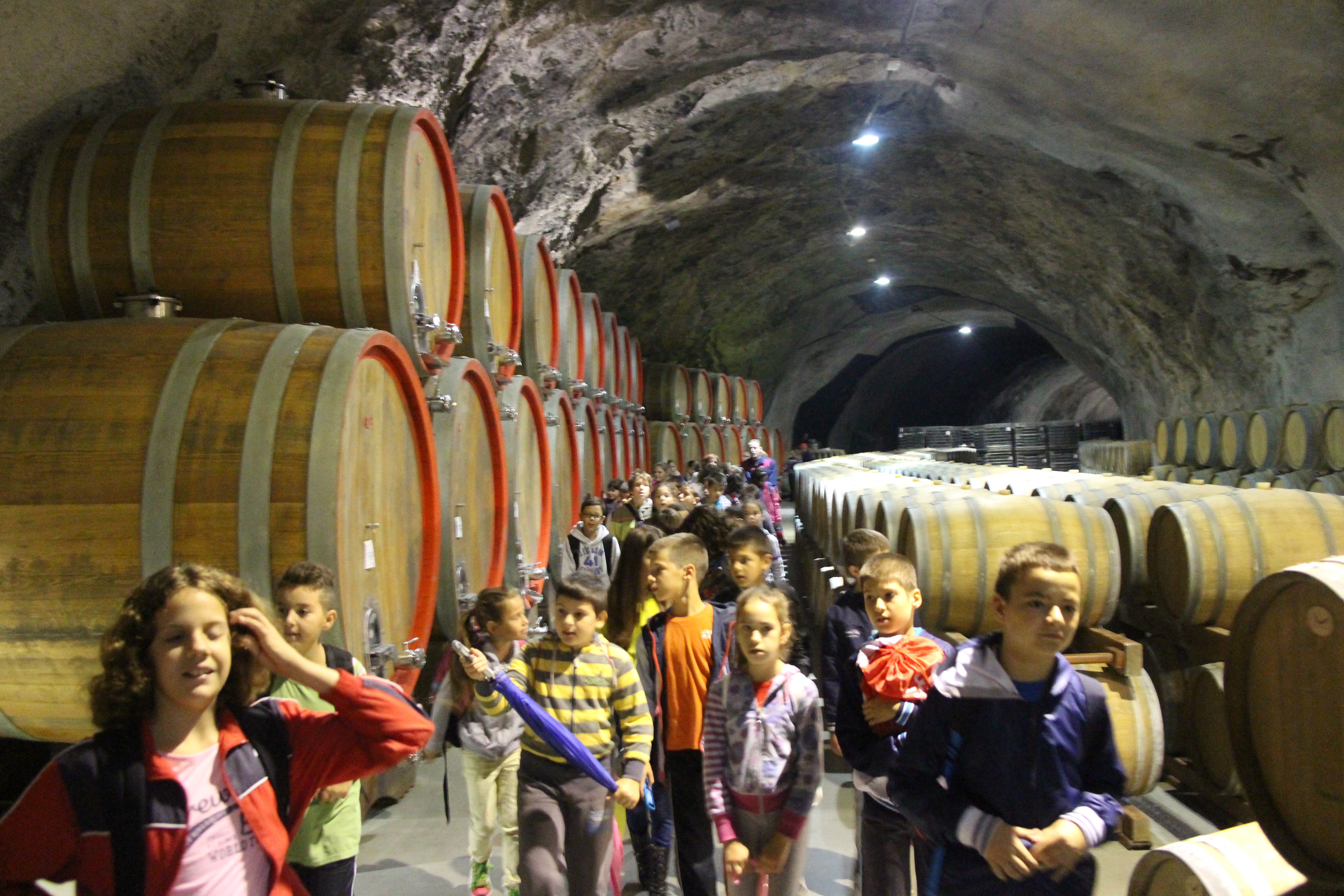 OGLEDNI ČAS, POZNAVANJE PRIRODE (V RAZRED)