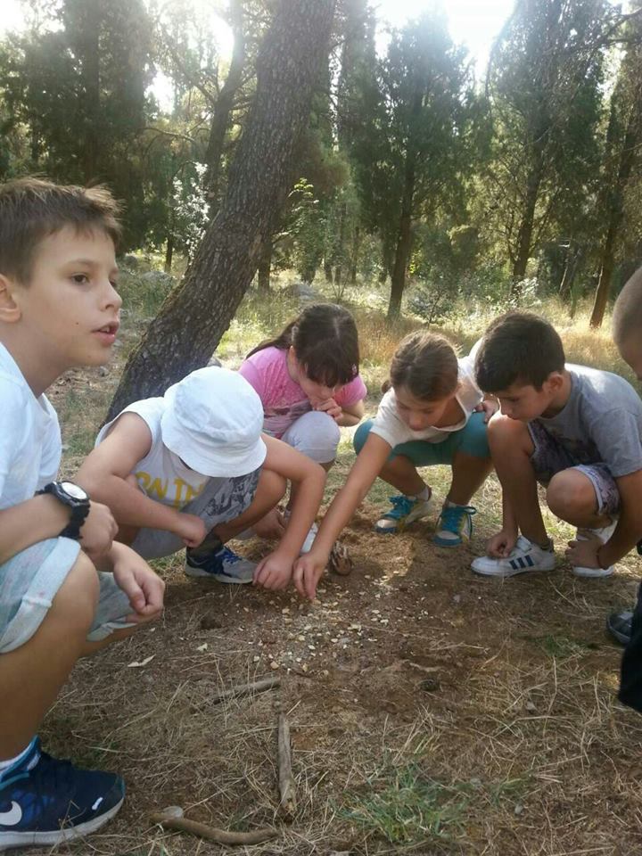 Poludnevni izlet – Gorica (IV razred)