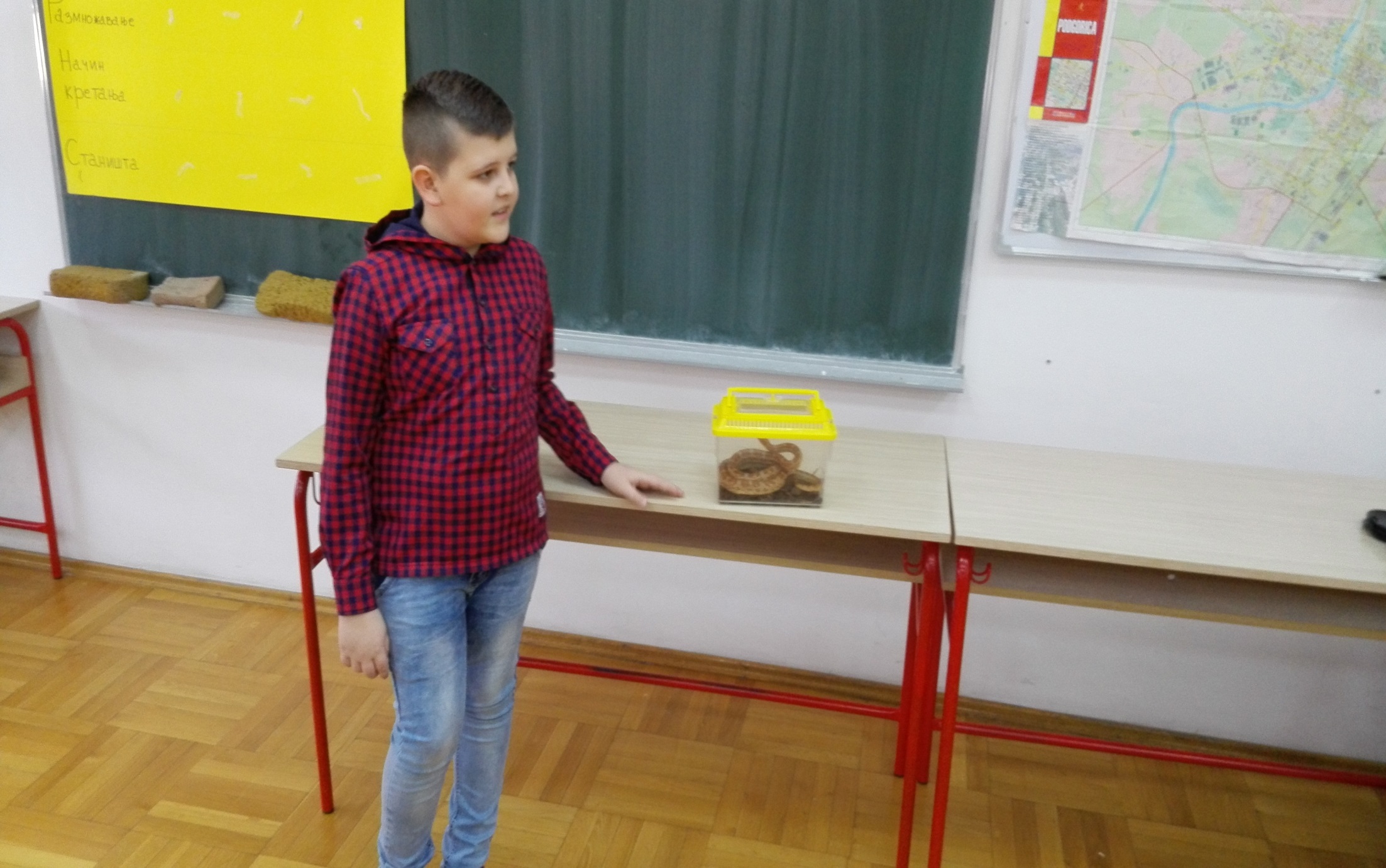 Životinjski svijet (vodozemci, gmizavci, ptice i sisari).