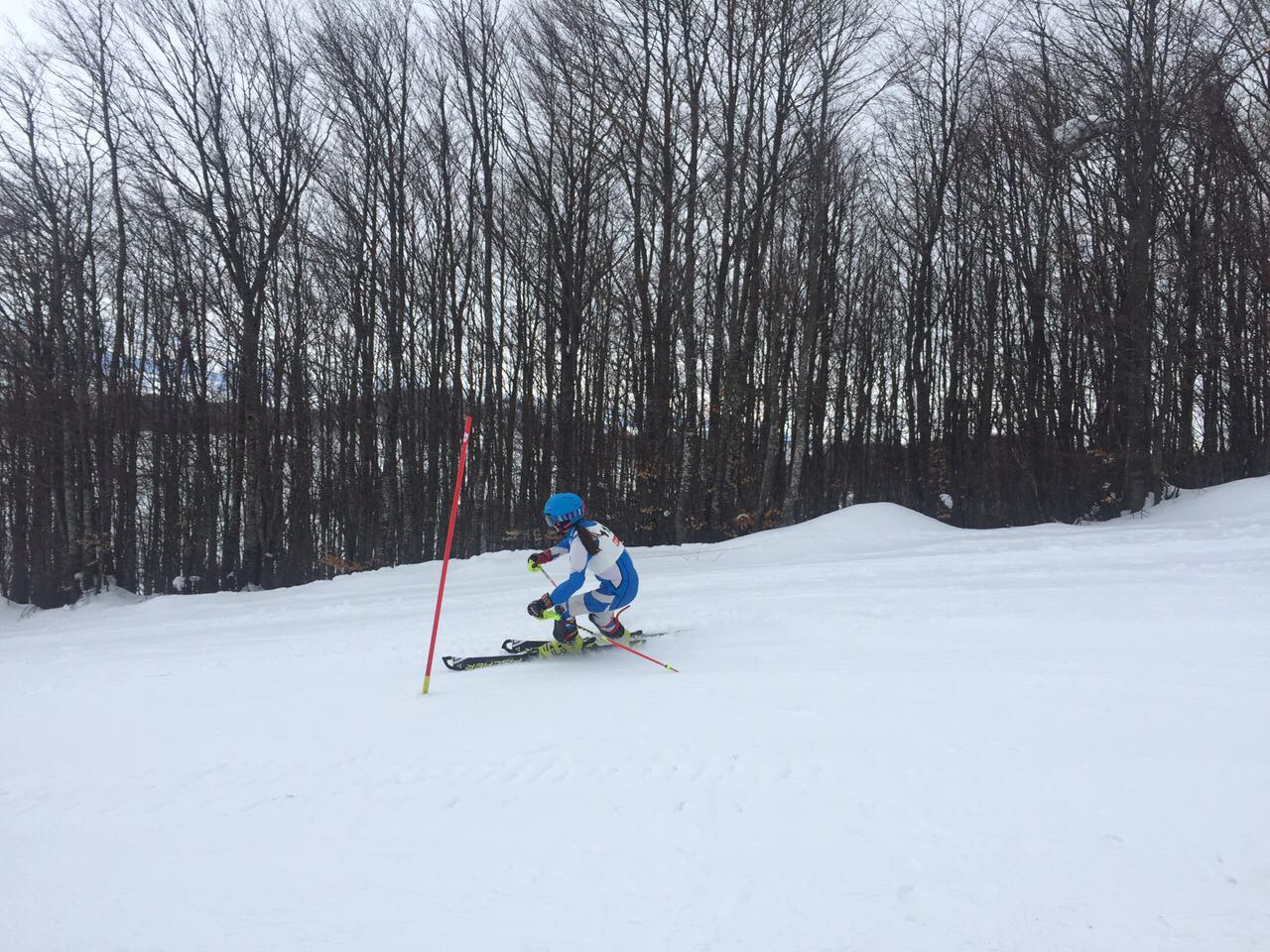 Na skijama do medalja