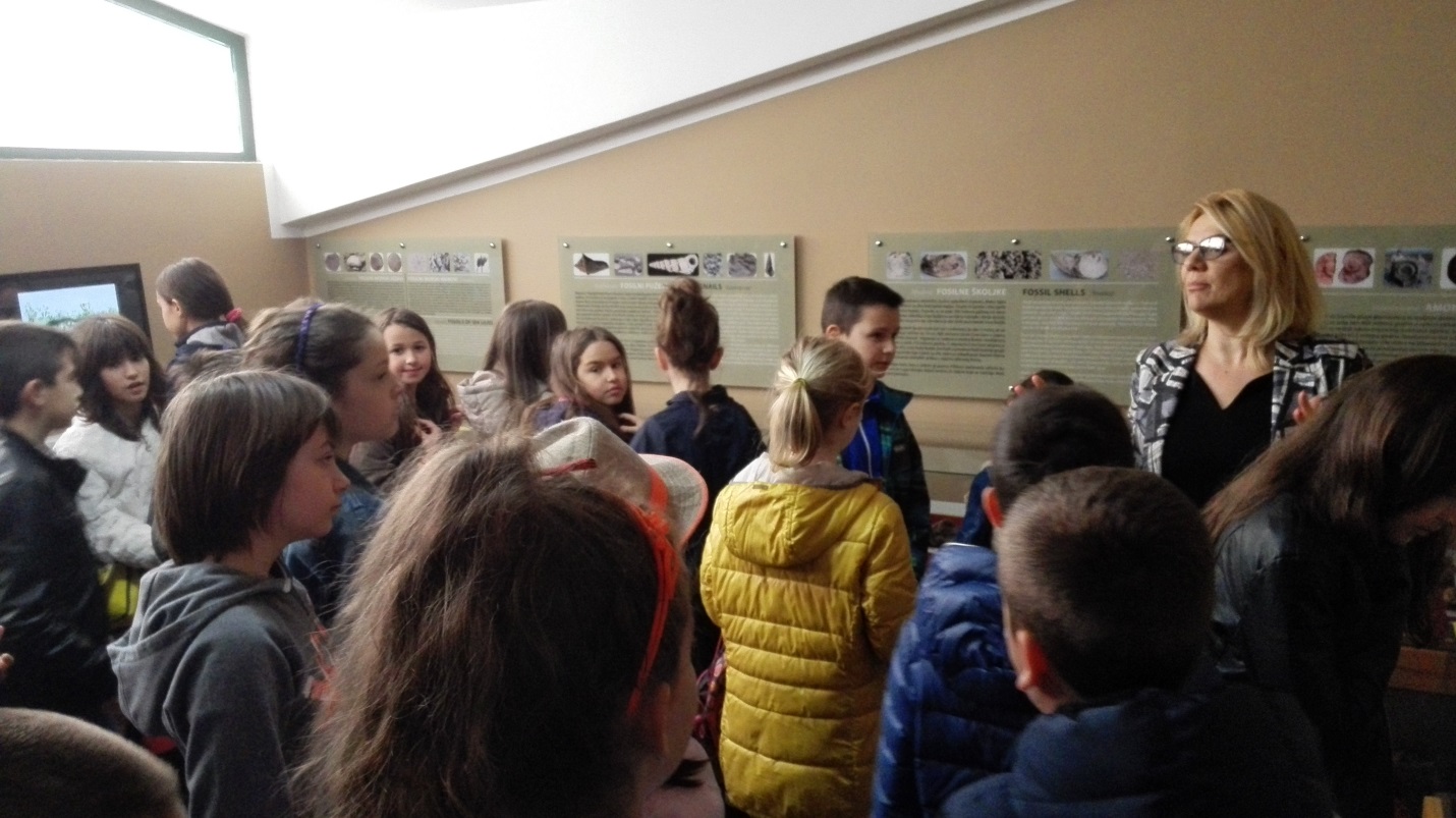 POSJETA PRIRODNJAČKOM MUZEJU  (IV razred)