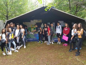 IMG-9bd71d48110df76c291e10644ddb6c37-V