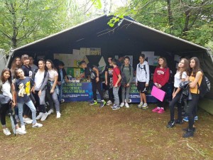 IMG-bfed29897c6a4258e6fe3d447a24407b-V