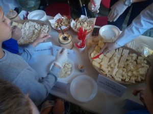 IMG-ce8c9167318f1a7744e456a5225ec0e9-V