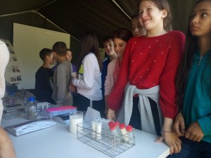 IMG-d15bf0ed8d9b7c7940d6b1c39650b4c6-V